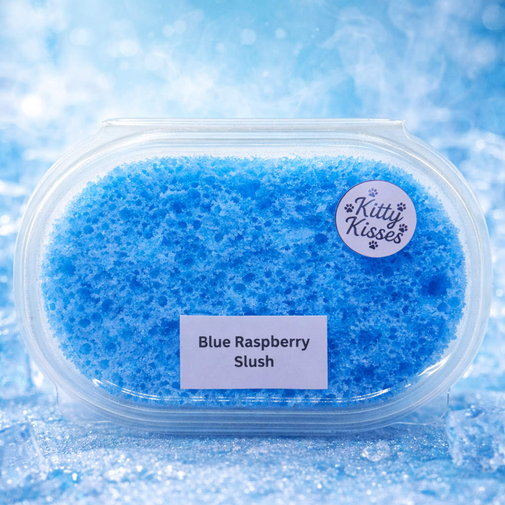 Blue Raspberry Slush Soap Sponge